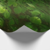 パタスコリバービューメリーランド自然写真 ウッドポスター (コーナー)