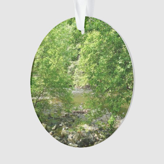 パタスコリバービューメリーランド自然写真 オーナメント (正面)