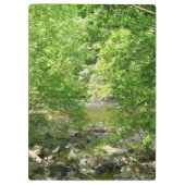 パタスコリバービューメリーランド自然写真 クリップボード (裏面)