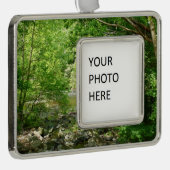 パタスコリバービューメリーランド自然写真 シルバープレートフレームオーナメント (右)