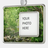 パタスコリバービューメリーランド自然写真 シルバープレートフレームオーナメント (左)