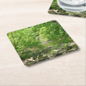 パタスコリバービューメリーランド自然写真 スクエアペーパーコースター (アングル)