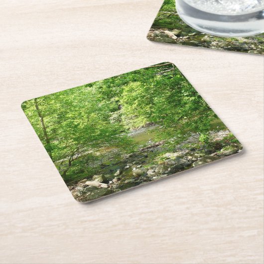 パタスコリバービューメリーランド自然写真 スクエアペーパーコースター (アングル)