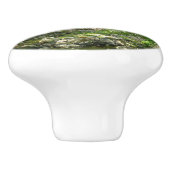 パタスコリバービューメリーランド自然写真 セラミックノブ (側面)