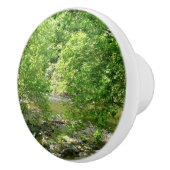 パタスコリバービューメリーランド自然写真 セラミックノブ (右)