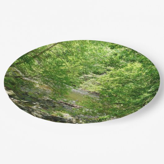 パタスコリバービューメリーランド自然写真 ペーパープレート (アングル)