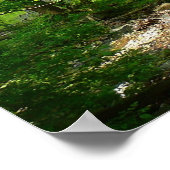 パタスコリバービューメリーランド自然写真 ポスター (角)