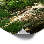 パタスコリバービューメリーランド自然写真 ポスター (角)