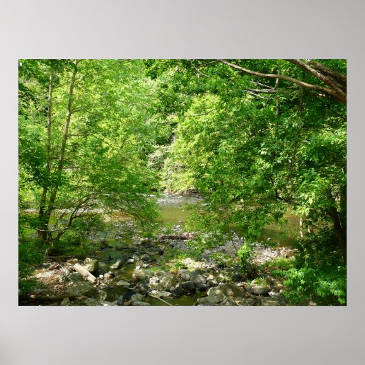 パタスコリバービューメリーランド自然写真 ポスター (正面)