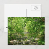 パタスコリバービューメリーランド自然写真 ポストカード (正面/裏面)