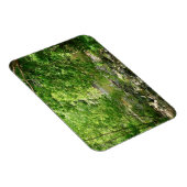 パタスコリバービューメリーランド自然写真 マグネット (右側)