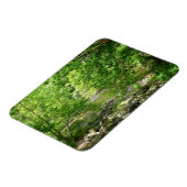 パタスコリバービューメリーランド自然写真 マグネット (左側)