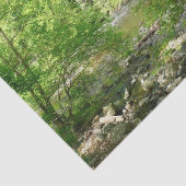 パタスコリバービューメリーランド自然写真 薄葉紙 (詳細)