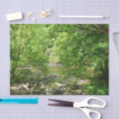 パタスコリバービューメリーランド自然写真 薄葉紙 (クラフト)