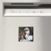 パタス・モンキー マグネット (インサイチュ (食洗機))