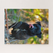 パターデール・テリア。 ジグソーパズル (横)