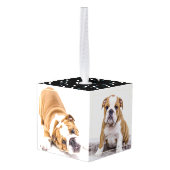 パターモダンン犬の猫3写真コラージュ キューブオーナメント (裏面アングル)