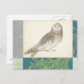 パターンの背景に灰色のフクロウ ポストカード (正面/裏面)