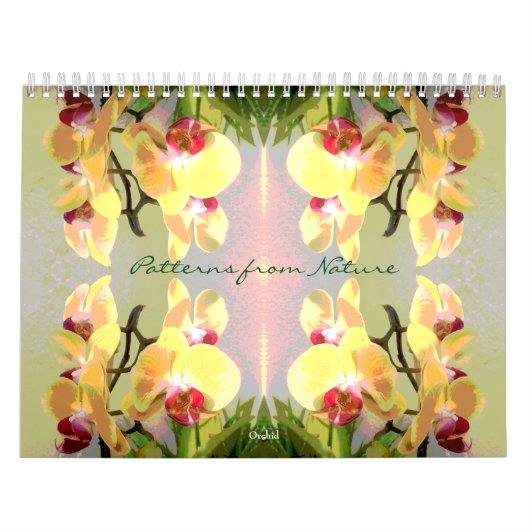 パターンの自然 カレンダー (カバー)