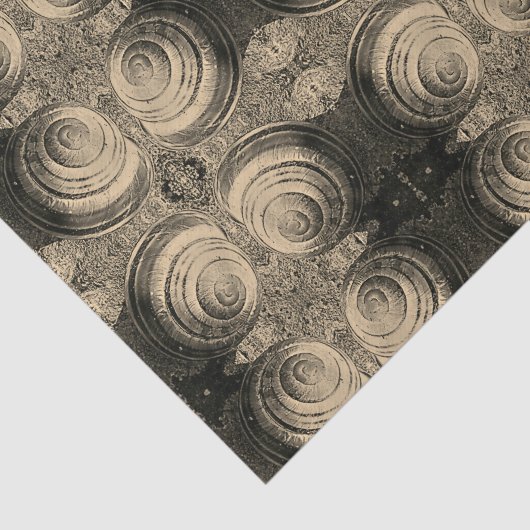 パターン（の模様が）あるなセピア色のかたつむり 薄葉紙 (詳細)