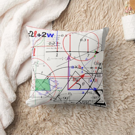 パターン(の模様が)あるな数学の物理学科学の同等化の方式 クッション (ブランケット)