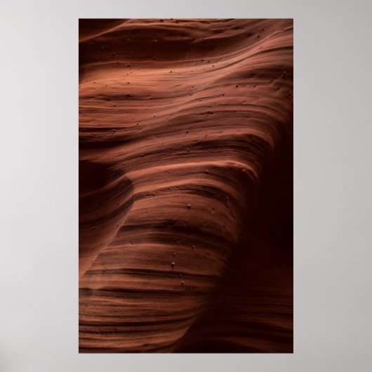 パターン ポスター (正面)