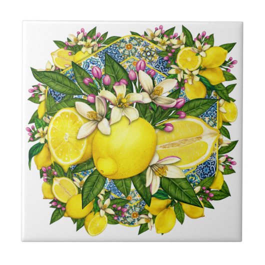 パター地中海のンカラー6セラミックタイル タイル (正面)