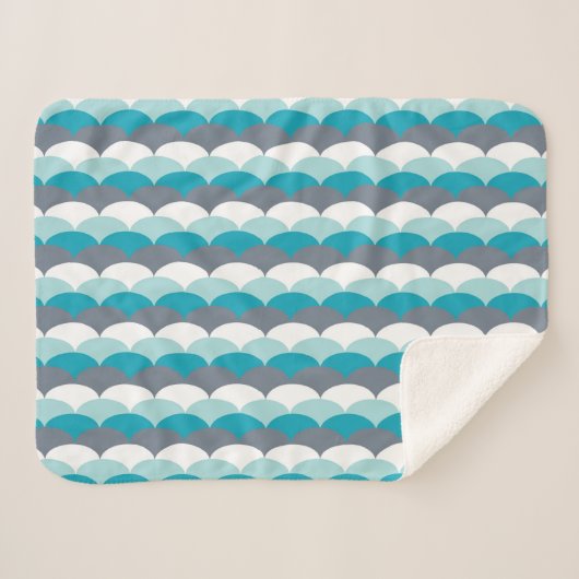 パター航海のン貝 シェルパブランケット (正面(横))