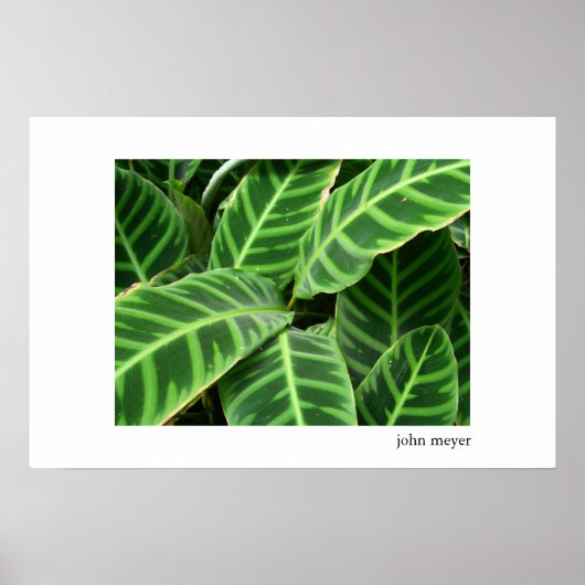 パター葉ン ポスター (正面)