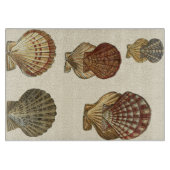 パチパチしたアンティークシェル カッティングボード (正面)