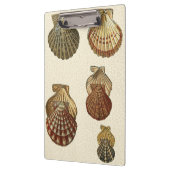 パチパチしたアンティークシェル クリップボード (左)