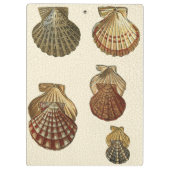 パチパチしたアンティークシェル クリップボード (裏面)