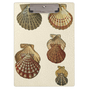 パチパチしたアンティークシェル クリップボード