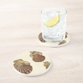 パチパチしたアンティークシェル コースター (側面)