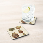 パチパチしたアンティークシェル コースター (右側)