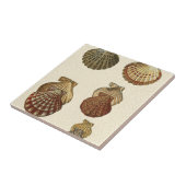 パチパチしたアンティークシェル タイル (側面)