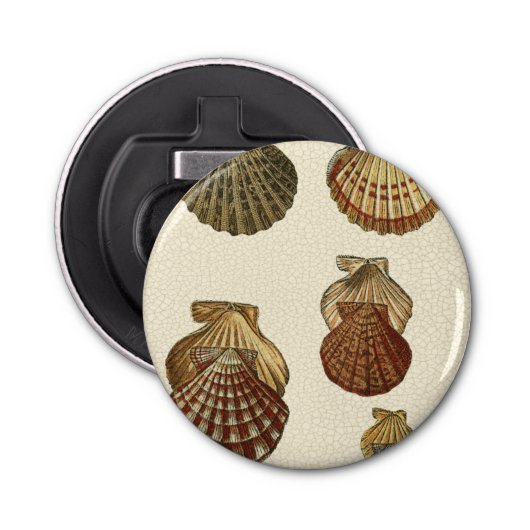 パチパチしたアンティークシェル 栓抜き (正面)