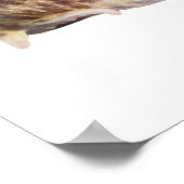 パチマンポスターパノラマ ポスター (角)