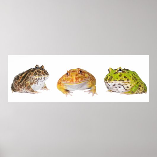 パチマンポスターパノラマ ポスター (正面)