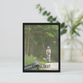 パチョグ州フォレスト、Ct.ポストカード ポストカード (スタンド正面)