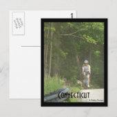 パチョグ州フォレスト、Ct.ポストカード ポストカード (正面/裏面)