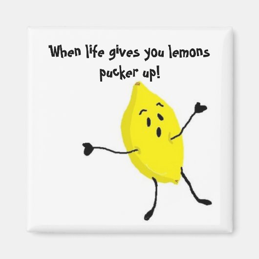 パッカーを上げる… マグネット (正面)