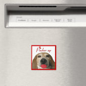 パッカーアップビーグル磁石 マグネット (インサイチュ (食洗機))