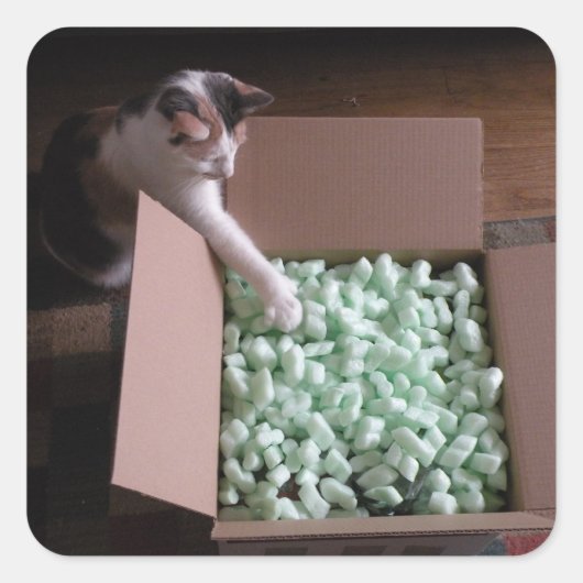 パッキング猫のステッカー スクエアシール (正面)