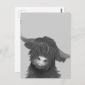 パックとホワイトハイランド牛 ポストカード (正面/裏面)