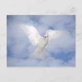 パックス ポストカード (正面)