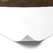 パックプリントバイリチャード・ダッド ポスター (角)