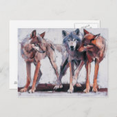 パックリーダー2001 ポストカード (正面/裏面)