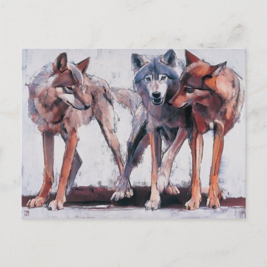 パックリーダー2001 ポストカード (正面)