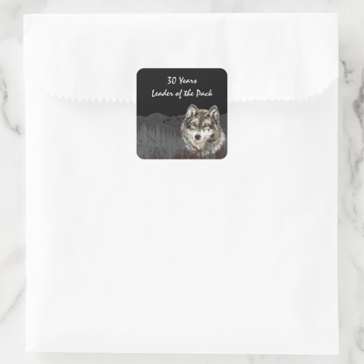 パック30th誕生日ユーモアのオオカミ30のリーダー スクエアシール (バッグ)